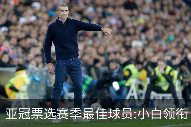 亚冠票选赛季最佳球员:小白领衔 奥古比埃拉上榜