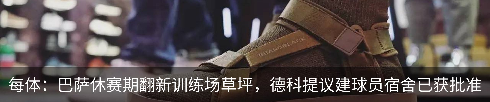 最新动态